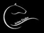 Anima Equina